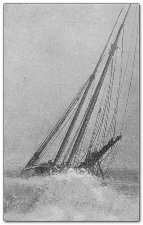 Schooner FLORES