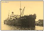 s/s BUCEGI